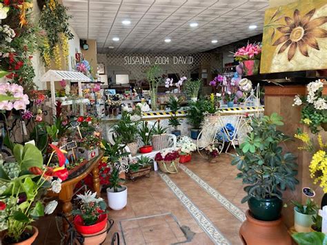 Floristería en Cádiz .